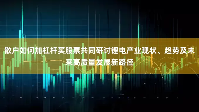 散户如何加杠杆买股票共同研讨锂电产业现状、趋势及未来高质量发展新路径
