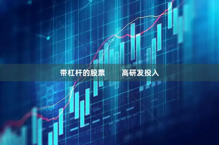 带杠杆的股票        高研发投入