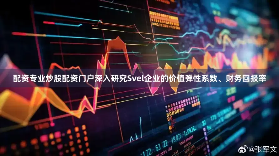 配资专业炒股配资门户深入研究Svel企业的价值弹性系数、财务回报率
