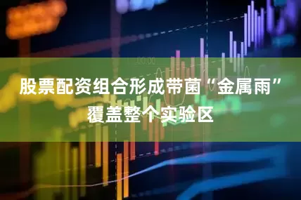 股票配资组合形成带菌“金属雨”覆盖整个实验区